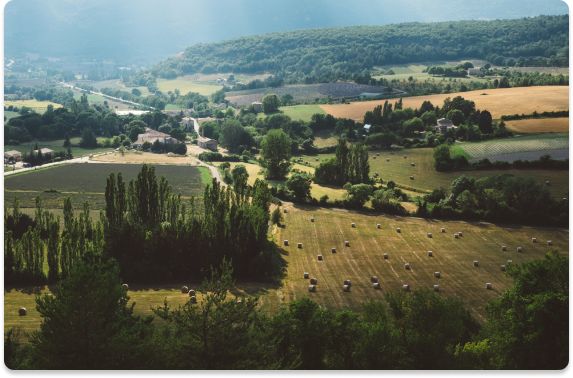 Inmobiliaria Rural